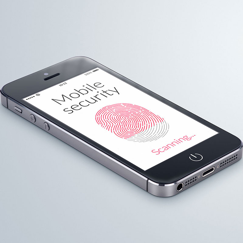 Complete Healing Bundle